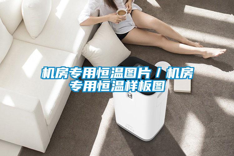 機(jī)房專用恒溫圖片／機(jī)房專用恒溫樣板圖