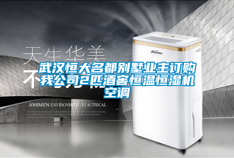 武漢恒大名都別墅業(yè)主訂購我公司2匹酒窖恒溫恒濕機(jī)空調(diào)
