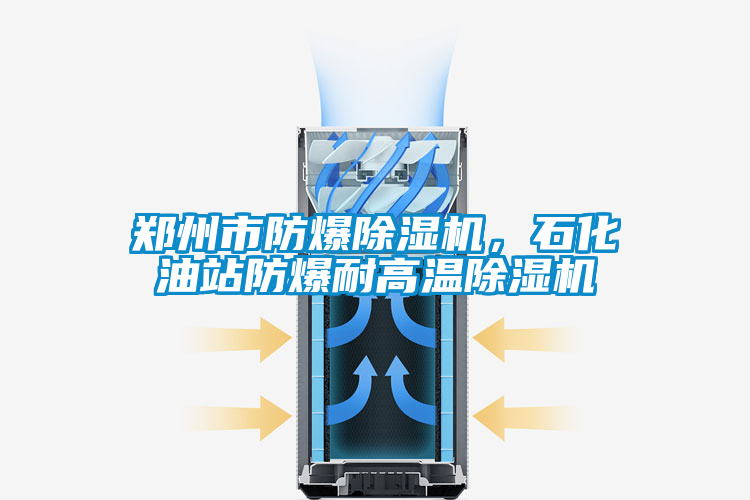 鄭州市防爆除濕機，石化油站防爆耐高溫除濕機