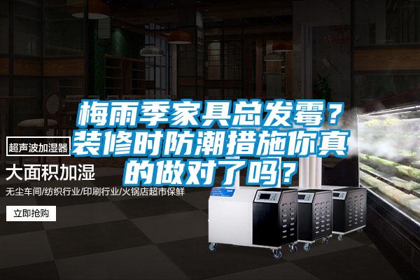 梅雨季家具總發霉？裝修時防潮措施你真的做對了嗎？