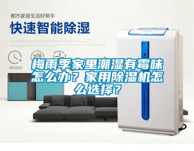 梅雨季家里潮濕有霉味怎么辦？家用除濕機(jī)怎么選擇？