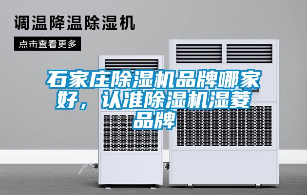 石家莊除濕機品牌哪家好，認準(zhǔn)除濕機濕菱品牌