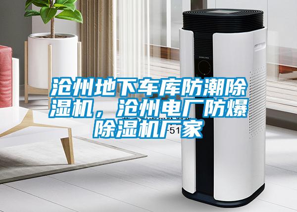 滄州地下車庫防潮除濕機(jī)，滄州電廠防爆除濕機(jī)廠家