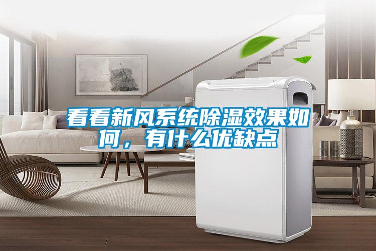 看看新風系統除濕效果如何，有什么優缺點