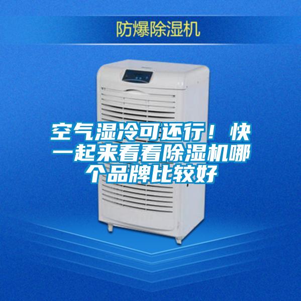 空氣濕冷可還行！快一起來看看除濕機哪個品牌比較好