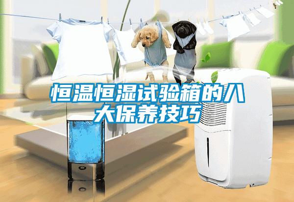 恒溫恒濕試驗箱的八大保養(yǎng)技巧