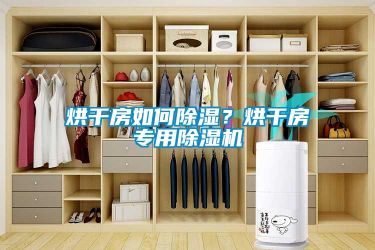 烘干房如何除濕？烘干房專用除濕機