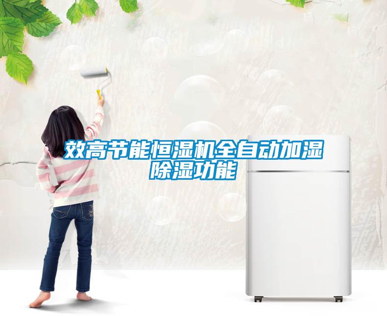 效高節(jié)能恒濕機(jī)全自動(dòng)加濕除濕功能