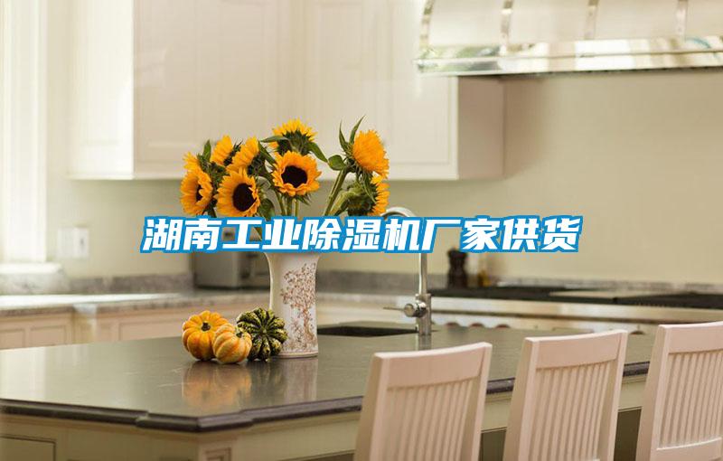 湖南工業除濕機廠家供貨