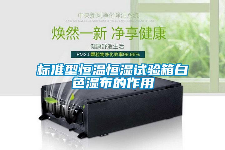 標(biāo)準(zhǔn)型恒溫恒濕試驗箱白色濕布的作用