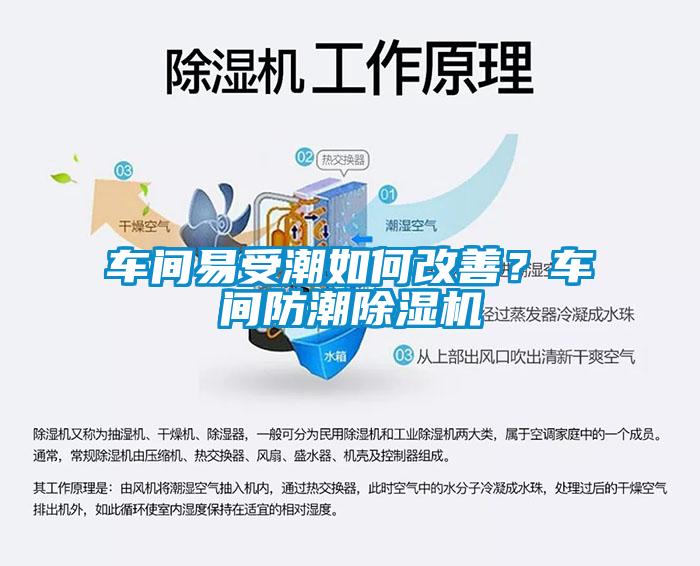 車間易受潮如何改善？車間防潮除濕機