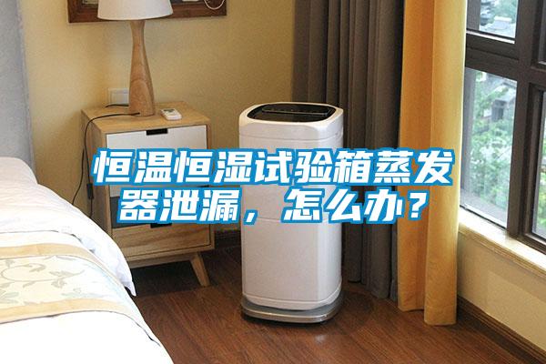 恒溫恒濕試驗箱蒸發器泄漏，怎么辦？