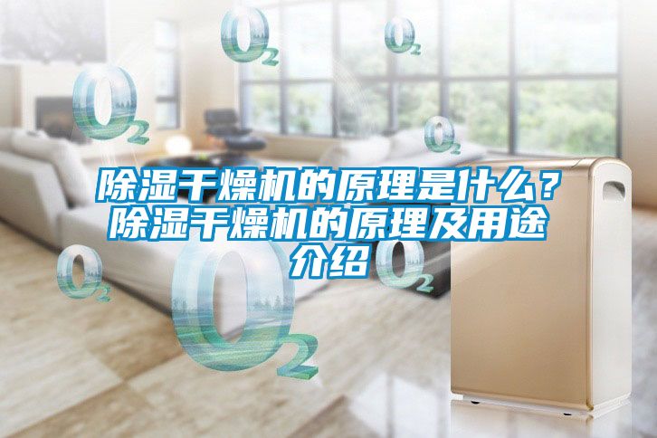 除濕干燥機的原理是什么？除濕干燥機的原理及用途介紹