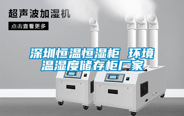 深圳恒溫恒濕柜 環(huán)境溫濕度儲(chǔ)存柜廠家