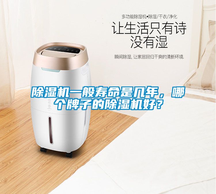 除濕機一般壽命是幾年，哪個牌子的除濕機好？