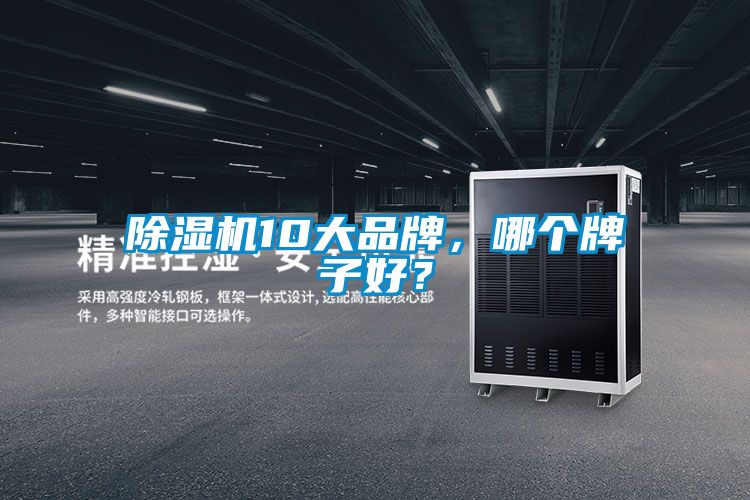 除濕機(jī)10大品牌，哪個(gè)牌子好？