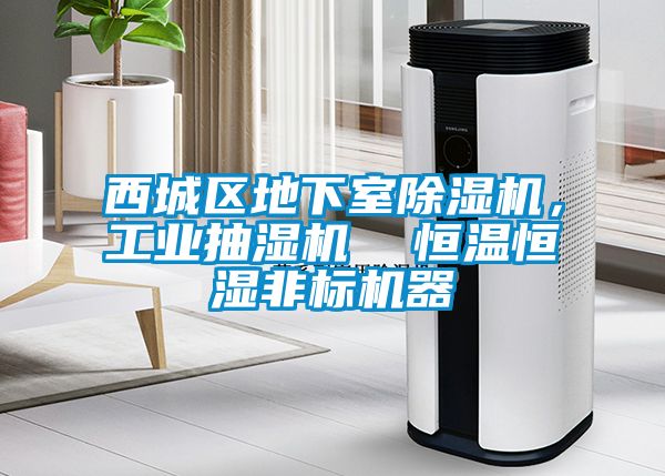 西城區(qū)地下室除濕機，工業(yè)抽濕機  恒溫恒濕非標機器