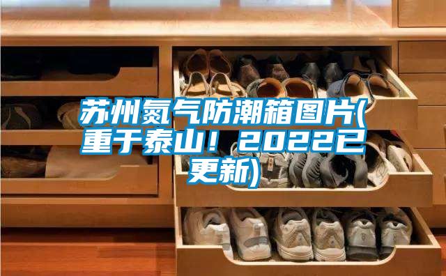 蘇州氮氣防潮箱圖片(重于泰山！2022已更新)