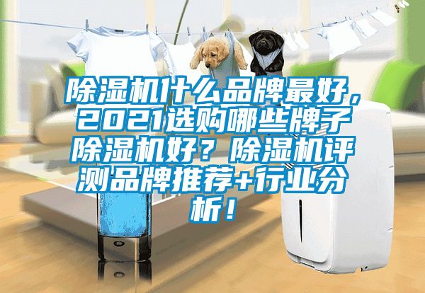 除濕機什么品牌最好，2021選購哪些牌子除濕機好？除濕機評測品牌推薦+行業分析！
