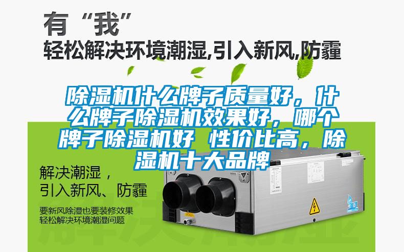 除濕機什么牌子質量好，什么牌子除濕機效果好，哪個牌子除濕機好 性價比高，除濕機十大品牌