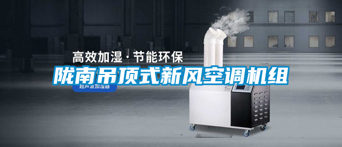 隴南吊頂式新風(fēng)空調(diào)機組