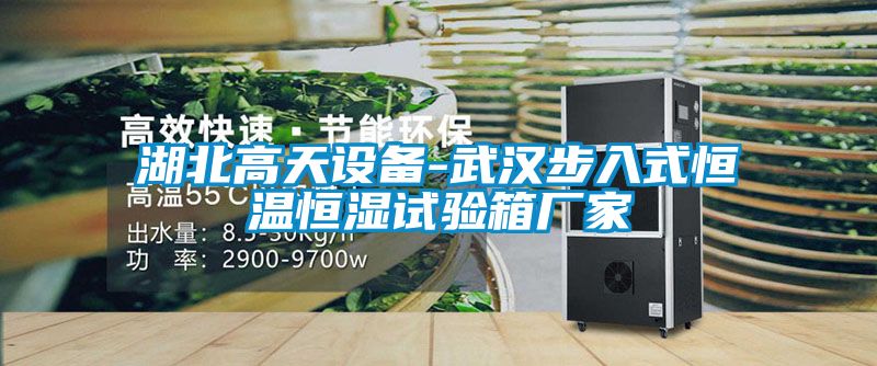 湖北高天設備-武漢步入式恒溫恒濕試驗箱廠家