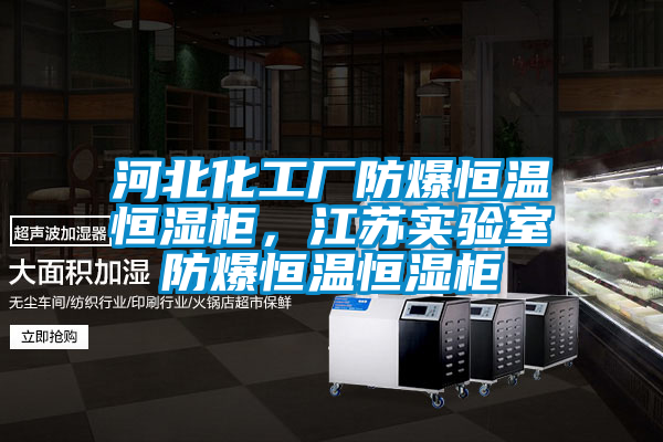 河北化工廠防爆恒溫恒濕柜，江蘇實驗室防爆恒溫恒濕柜