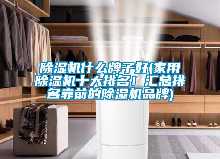 除濕機什么牌子好(家用除濕機十大排名！匯總排名靠前的除濕機品牌)