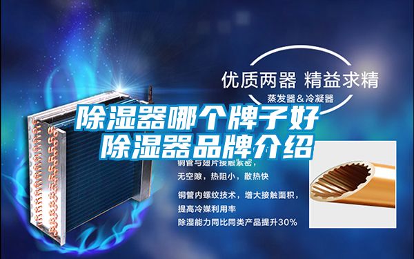 除濕器哪個(gè)牌子好 除濕器品牌介紹