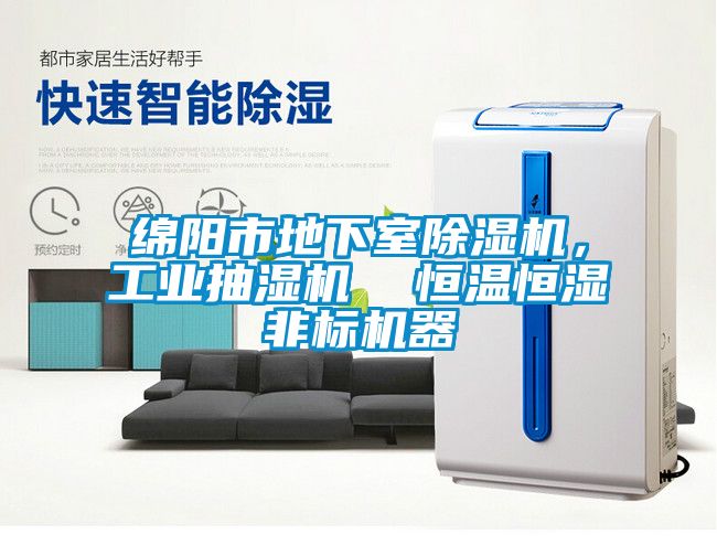 綿陽市地下室除濕機，工業(yè)抽濕機  恒溫恒濕非標機器