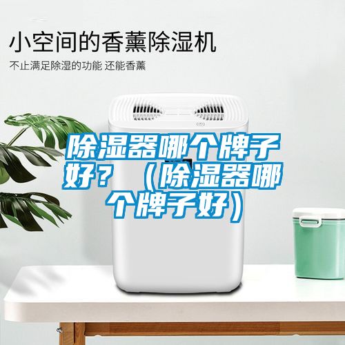 除濕器哪個牌子好？（除濕器哪個牌子好）
