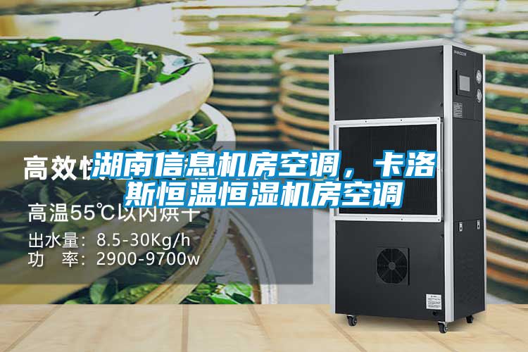 湖南信息機(jī)房空調(diào)，卡洛斯恒溫恒濕機(jī)房空調(diào)