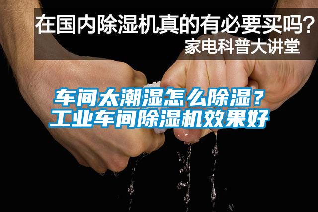 車間太潮濕怎么除濕？工業(yè)車間除濕機效果好