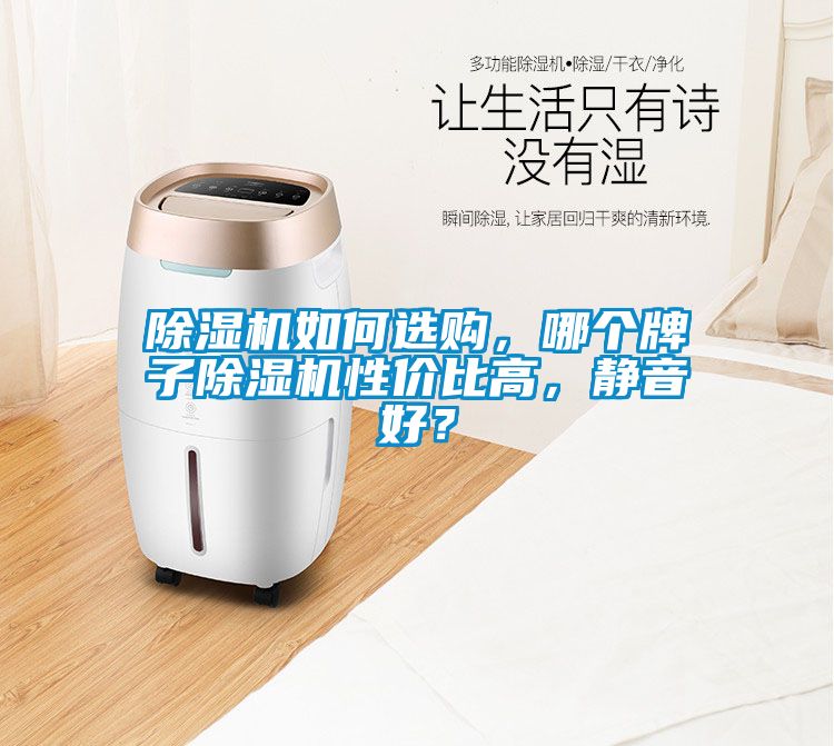 除濕機(jī)如何選購(gòu)，哪個(gè)牌子除濕機(jī)性價(jià)比高，靜音好？