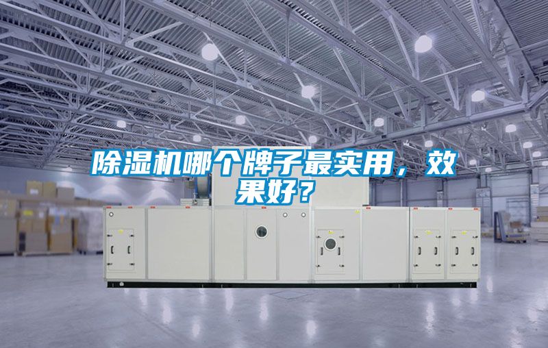除濕機哪個牌子最實用，效果好？