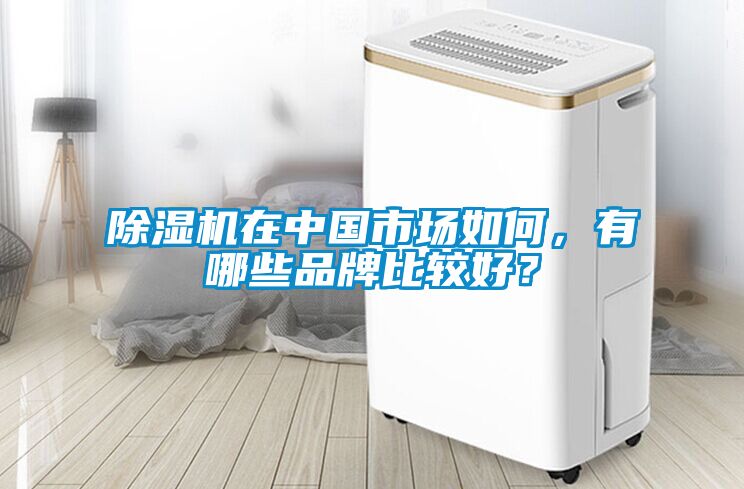 除濕機在中國市場如何，有哪些品牌比較好？