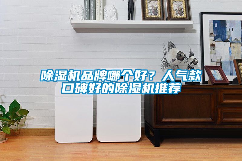 除濕機品牌哪個好？人氣款口碑好的除濕機推薦