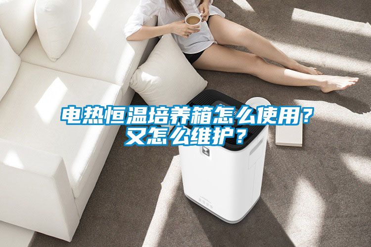 電熱恒溫培養(yǎng)箱怎么使用？又怎么維護(hù)？