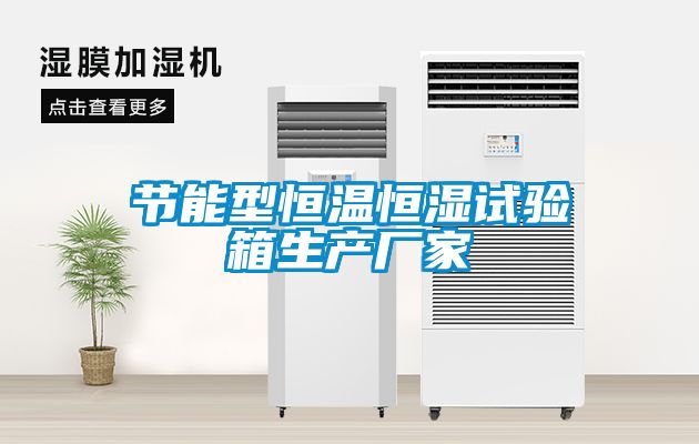 節(jié)能型恒溫恒濕試驗(yàn)箱生產(chǎn)廠家