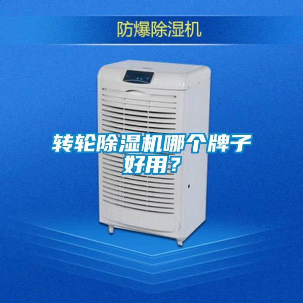 轉輪除濕機哪個牌子好用？
