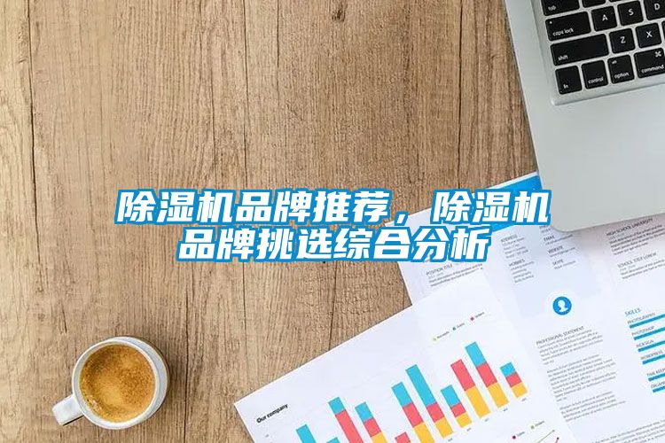 除濕機(jī)品牌推薦，除濕機(jī)品牌挑選綜合分析