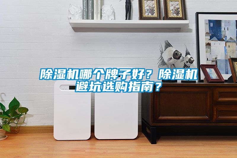 除濕機(jī)哪個(gè)牌子好？除濕機(jī)避坑選購(gòu)指南？