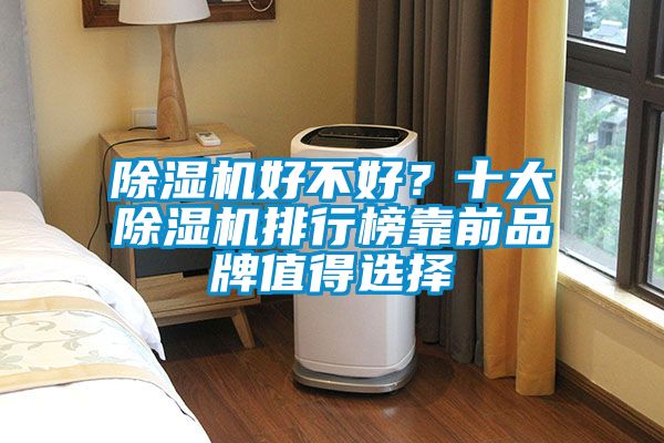 除濕機好不好？十大除濕機排行榜靠前品牌值得選擇