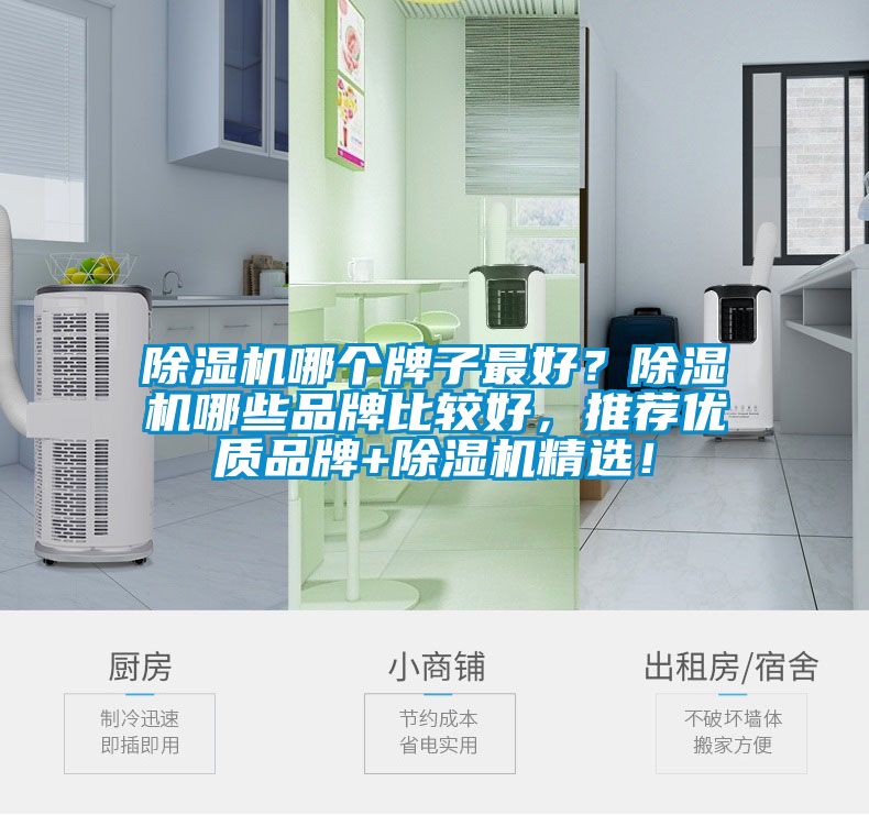 除濕機(jī)哪個牌子最好？除濕機(jī)哪些品牌比較好，推薦優(yōu)質(zhì)品牌+除濕機(jī)精選！
