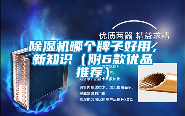 除濕機哪個牌子好用，新知識（附6款優品推薦）