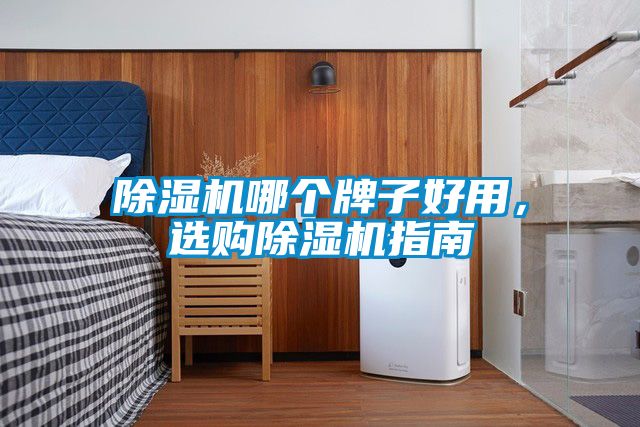 除濕機哪個牌子好用，選購除濕機指南