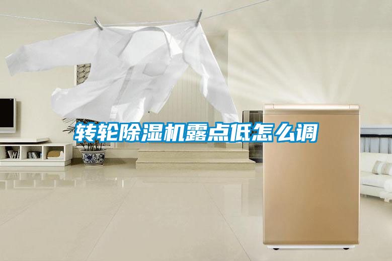 轉(zhuǎn)輪除濕機(jī)露點(diǎn)低怎么調(diào)