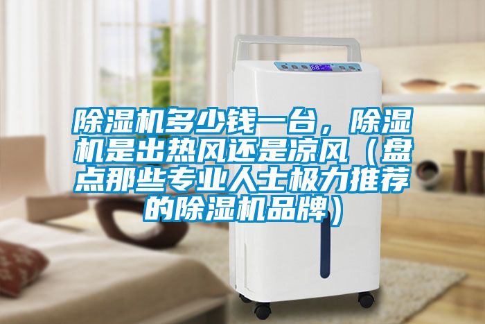 除濕機多少錢一臺，除濕機是出熱風還是涼風（盤點那些專業人士極力推薦的除濕機品牌）