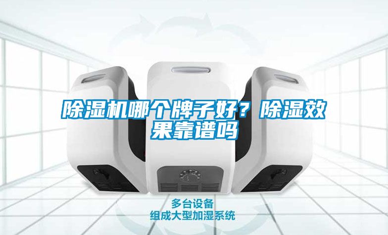 除濕機哪個牌子好？除濕效果靠譜嗎