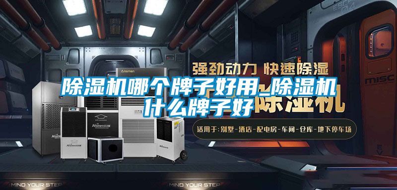 除濕機(jī)哪個牌子好用_除濕機(jī)什么牌子好